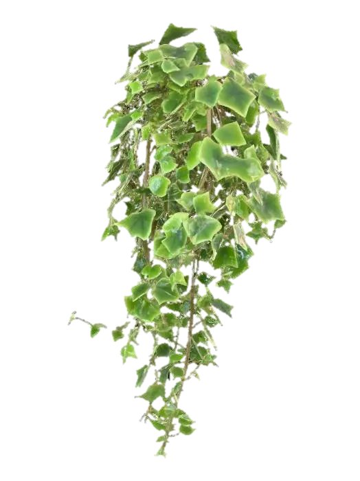 image of a vine 3D model, vytvořený pomocí AI