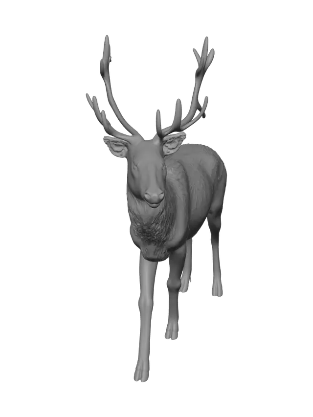 3D model for Antlered Deer