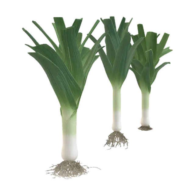 Leek Trio 3D model, vytvořený pomocí AI