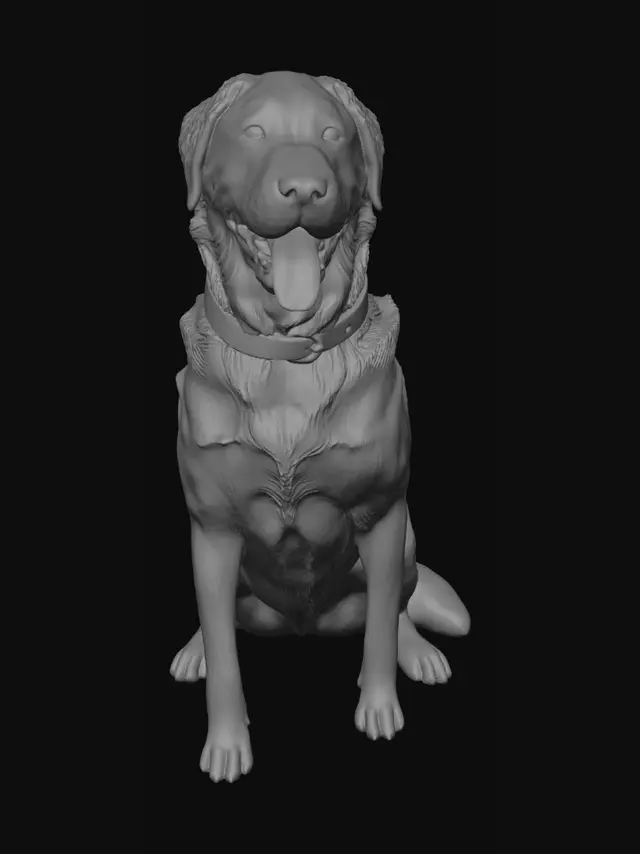 3D model for Sunlit Golden Retriever in the Field