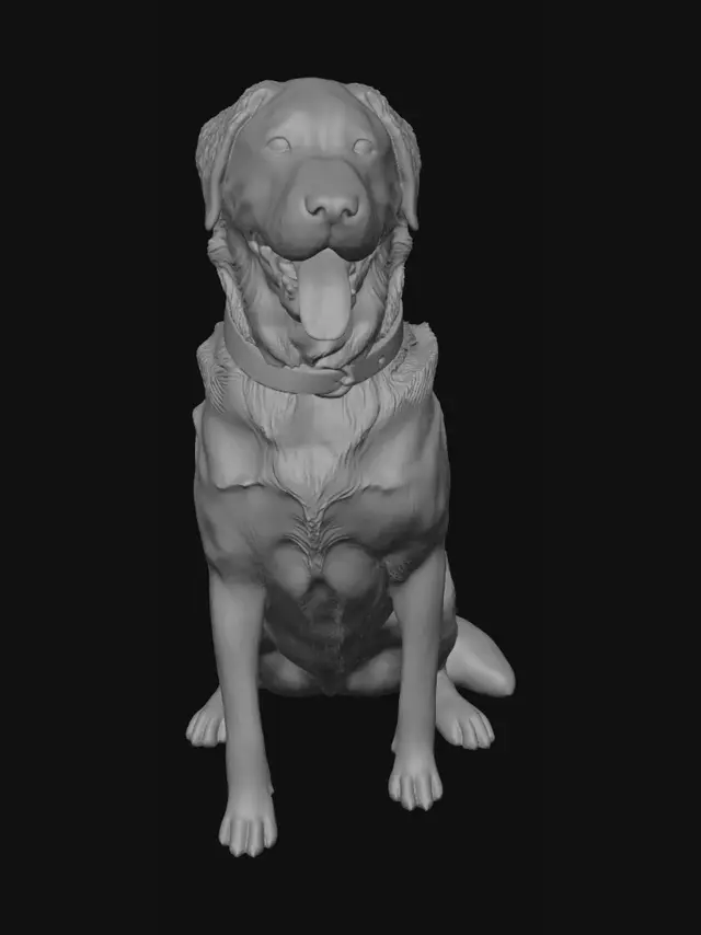 3D model for Sunlit Golden Retriever in the Field