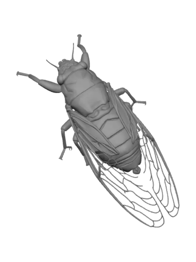 3D model for Green lacewing on a leaf