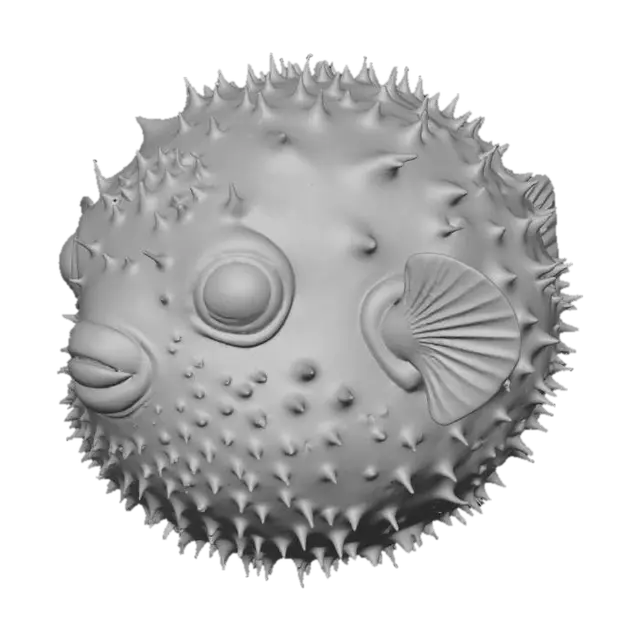 3D model for Spiky Wonder