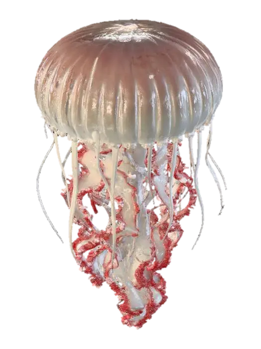 Crimson Cascade Jellyfish - Species 3D model, vytvořený pomocí AI