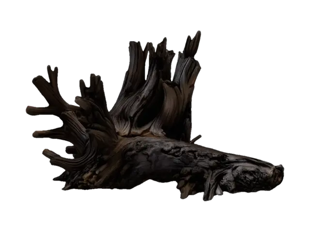 Gnarled tree root - Trunk 3D model, vytvořený pomocí AI