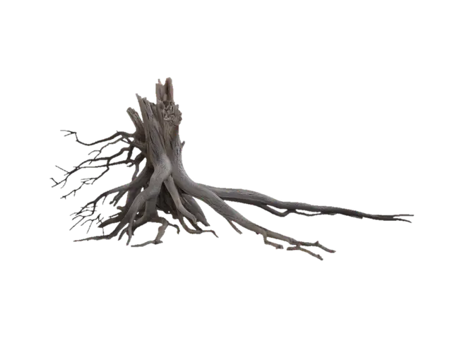 Rooted Echo - Pod 3D model, vytvořený pomocí AI