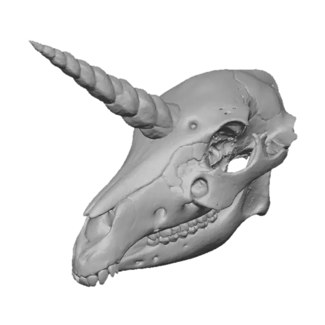 3D model for Ethereal Remains