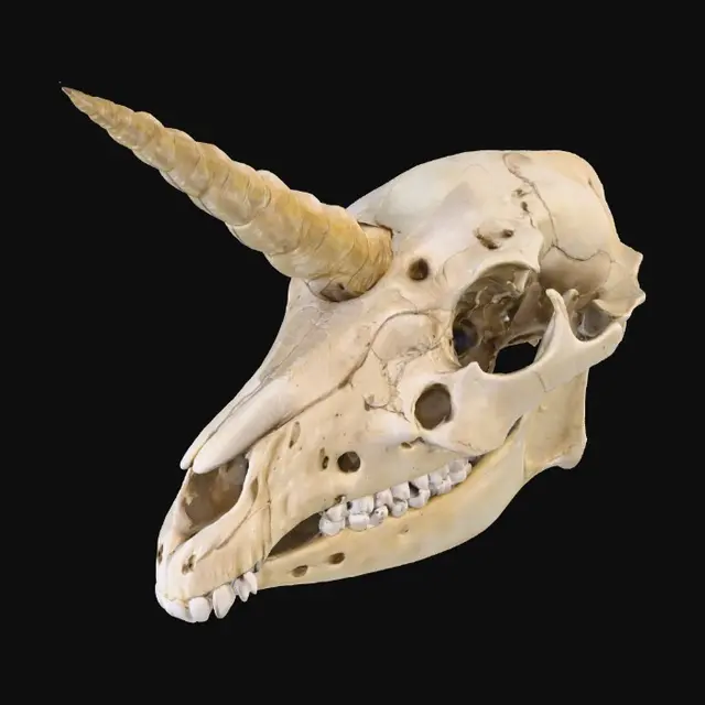 3D model for Ethereal Remains