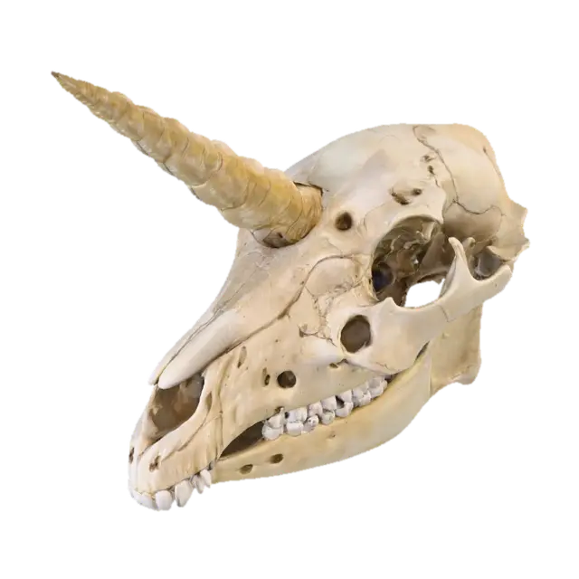 3D model for Ethereal Remains