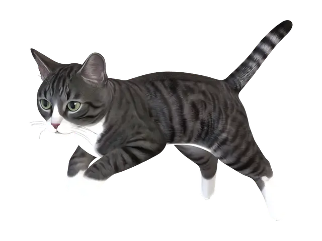 3D model for Grey Streak