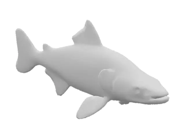 3D model for A sturgeon fish with shiny scales and large eyes.