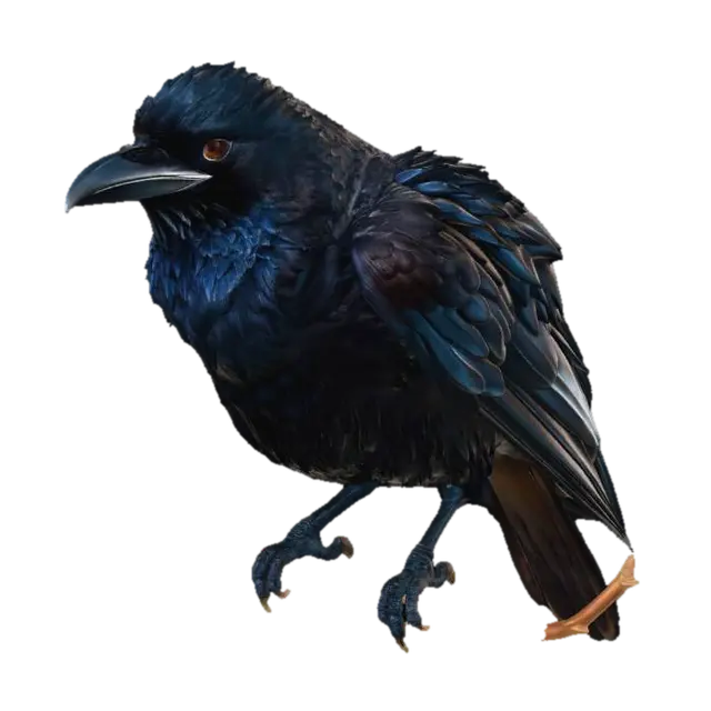 3D model for A big and feathery crow that is fluffy with feathers.