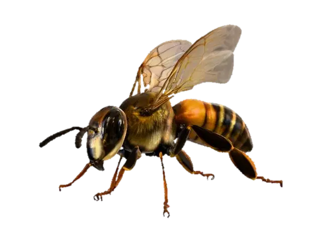Honeybee Majesty, #PBR# - Bee 3D model, vytvořený pomocí AI