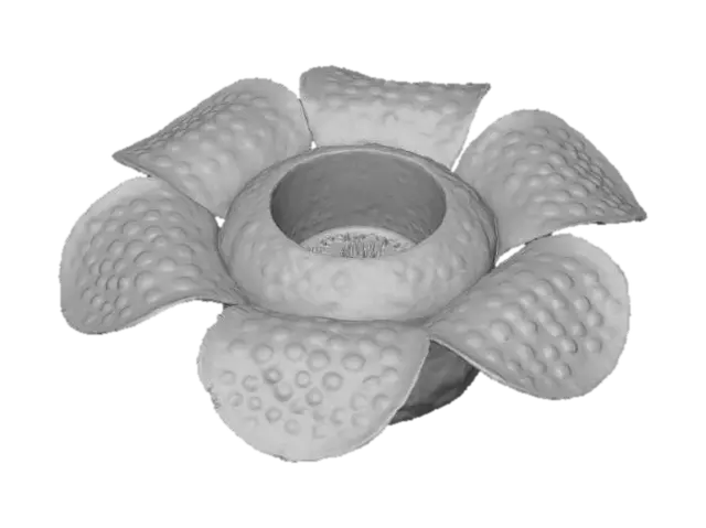 3D model for Rafflesia Bloom