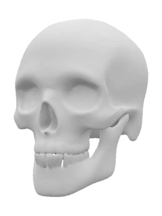 3D model for a single skull, dia de los muertos inspired,