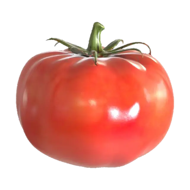 3D model for a delicious red tomato with a stem still attached