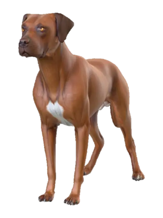 Ultra realistic ultra detail dog of a pointer class breed. Ultra high quality… - Detaileddog 3D model, vytvořený pomocí AI