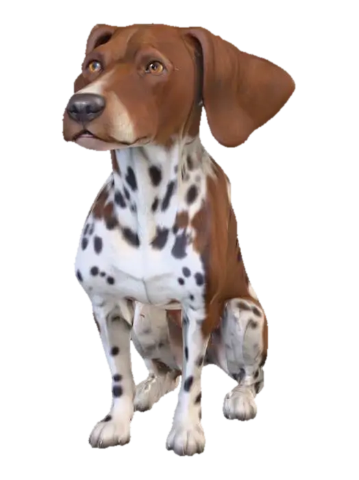 Ultra realistic ultra detail dog of a pointer class breed. Ultra high quality… - Detaileddog 3D model, vytvořený pomocí AI
