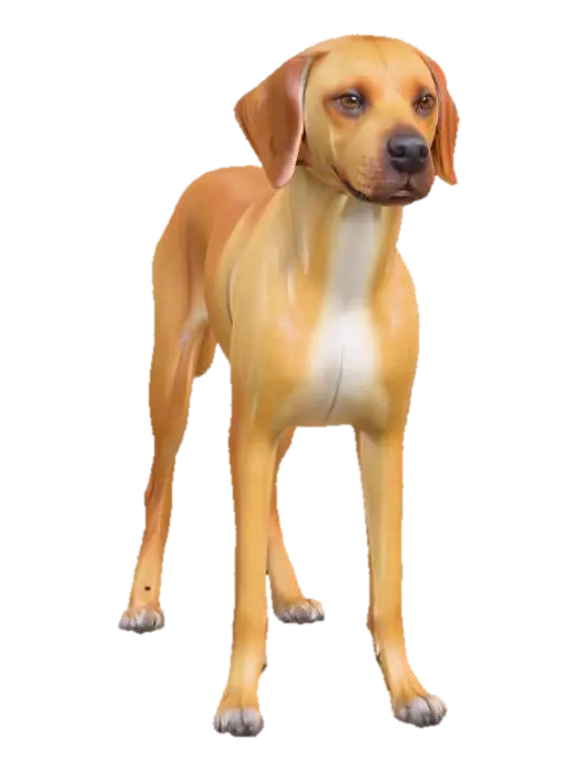 Ultra realistic ultra detail dog of a pointer class breed. Ultra high quality… - Detaileddog 3D model, vytvořený pomocí AI