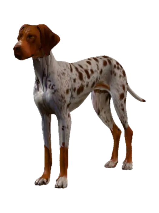 Ultra realistic ultra detail dog of a pointer class breed. Ultra high quality… - Detaileddog 3D model, vytvořený pomocí AI