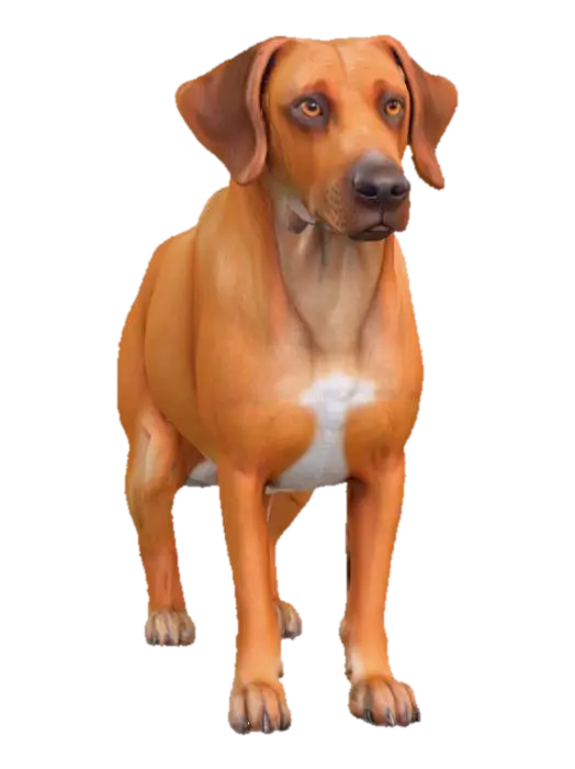 Ultra realistic ultra detail dog of a pointer class breed. Ultra high quality… - Detaileddog 3D model, vytvořený pomocí AI