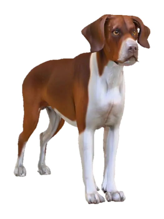 Ultra realistic ultra detail dog of a pointer class breed. Ultra high quality… - Detaileddog 3D model, vytvořený pomocí AI