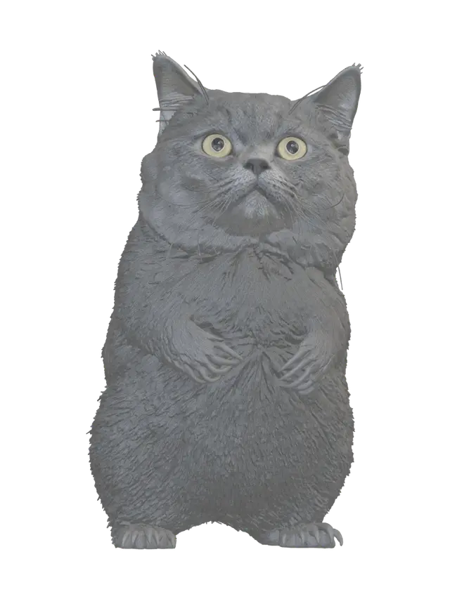 3D model for Golden Gaze
