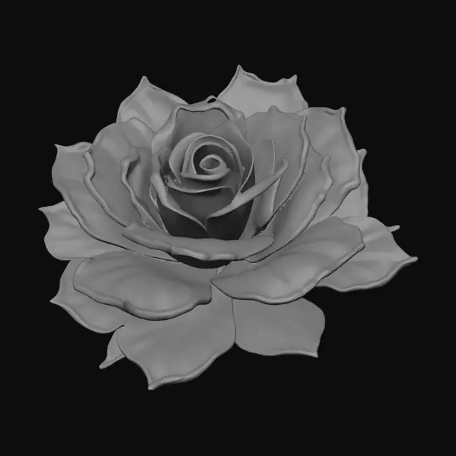3D model for Cosmic Rose