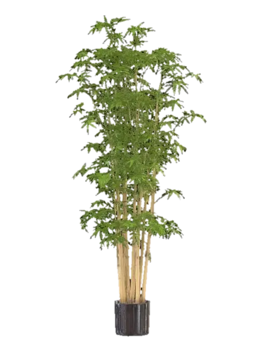 Bamboo Serenity - Zen 3D model, vytvořený pomocí AI