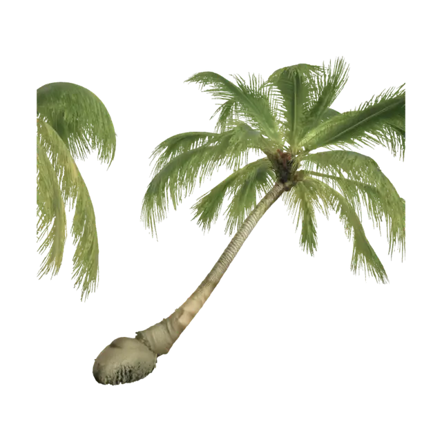 3D model for Leaning Palms Over Turquoise Waters