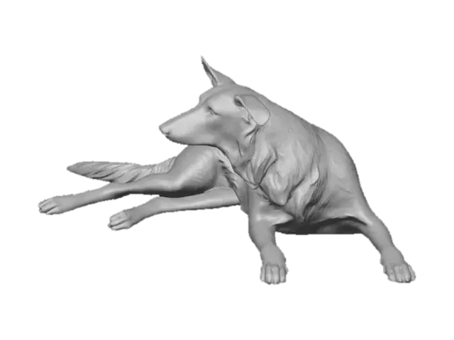 3D model for White Dog on Wooden Floor