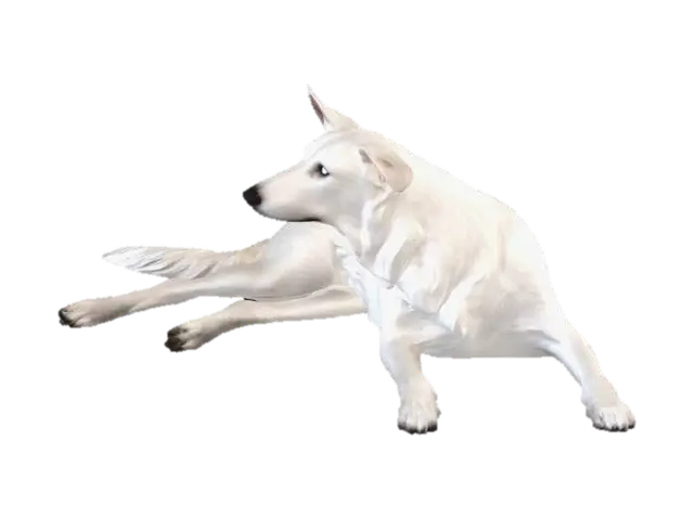 3D model for White Dog on Wooden Floor