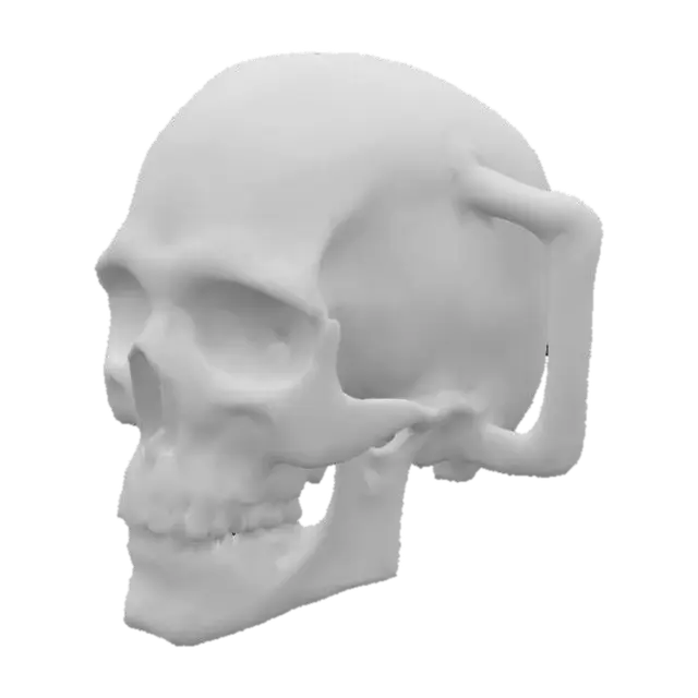 3D model for The Bone Mug
