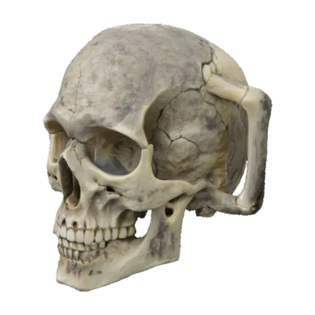 3D model for The Bone Mug