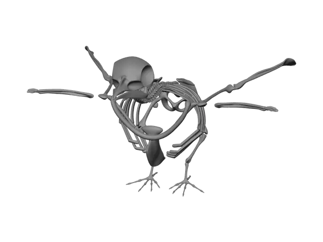 3D model for Fantasy Bird Skeleton