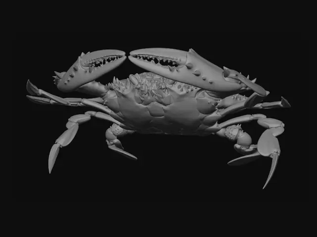 3D model for Spotted Blue Crab