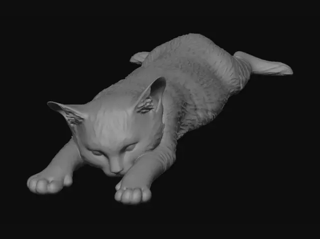 3D model for Serene Stretch