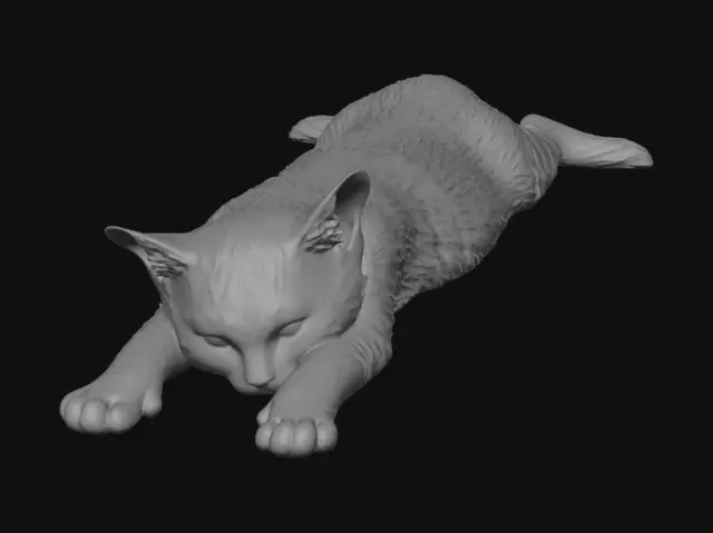 3D model for Serene Stretch