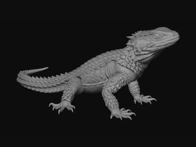 3D model for Armored Bearded Dragon