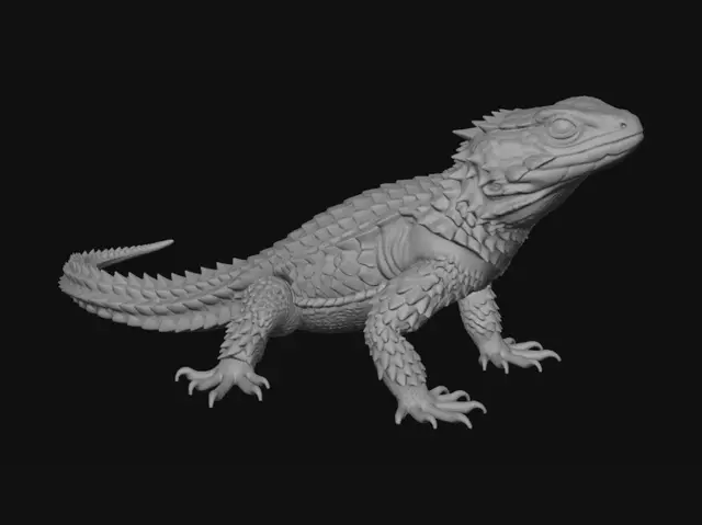 3D model for Armored Bearded Dragon