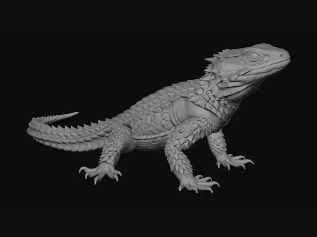 3D model for Armored Bearded Dragon