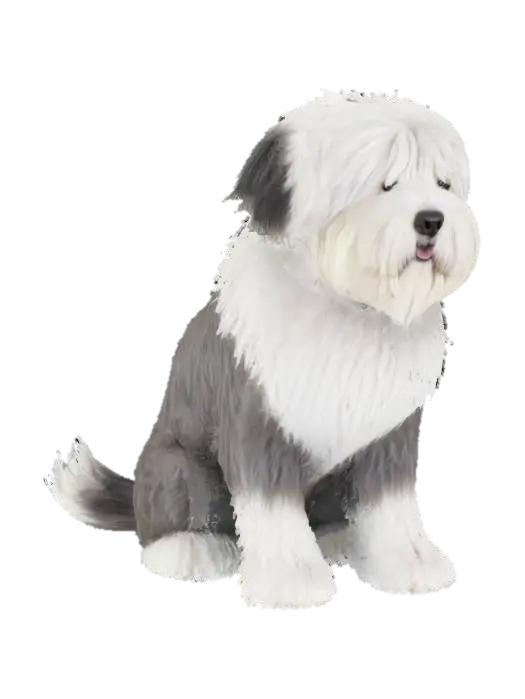 Old English Sheepdog - Breeds 3D model, vytvořený pomocí AI