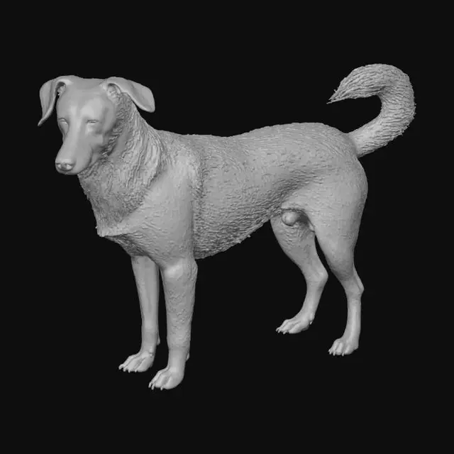 3D model for Caramelo
