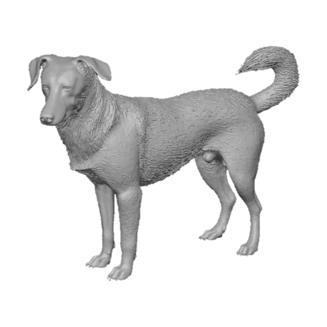 3D model for Caramelo
