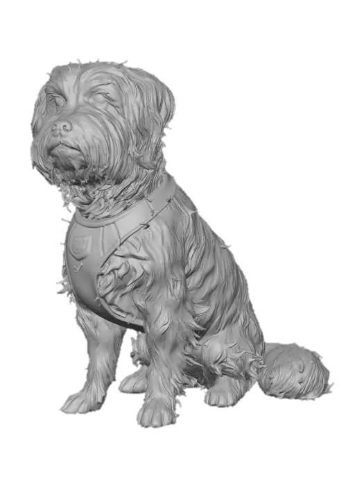 3D model for RIP Little Buddy