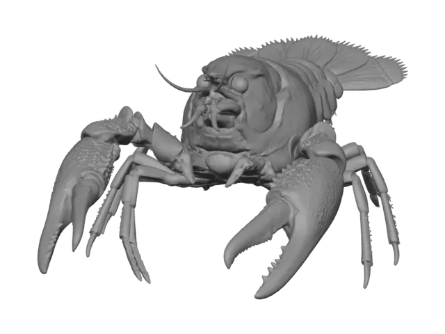 3D model for Flight of the Lobster