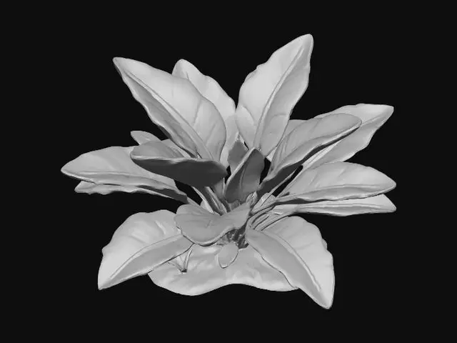 3D model for Comfrey Vegetative Growth