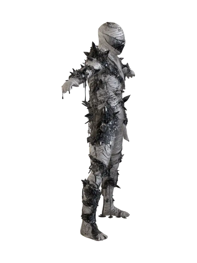 3D model for The Shardbound Mummy