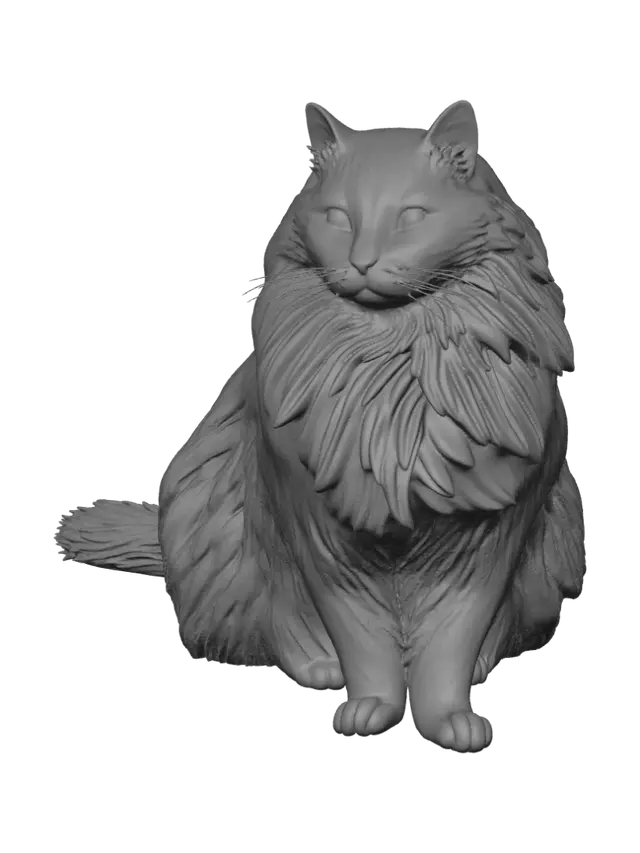 3D model for Grey Cloud Cat