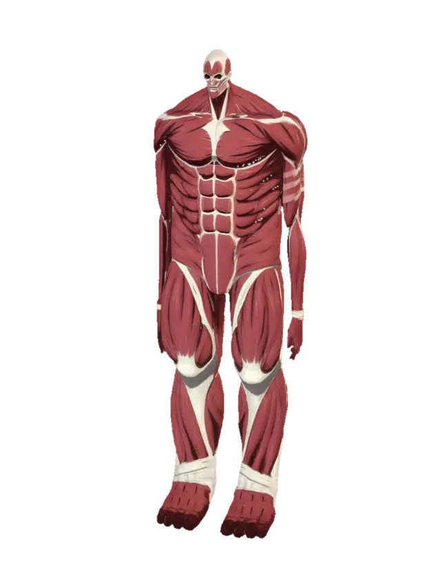 3D-модель Muscular Anatomy Illustration - Biceps, сгенерированная ИИ